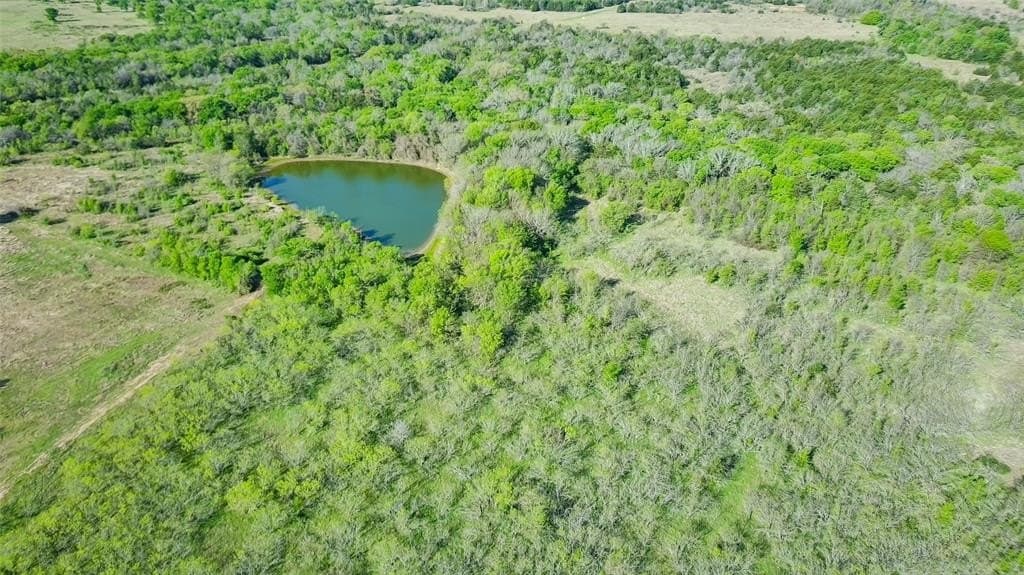 23.83 acres in Freestone County - photo 29