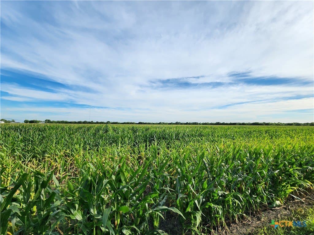23.61 acres in Victoria County - photo 6