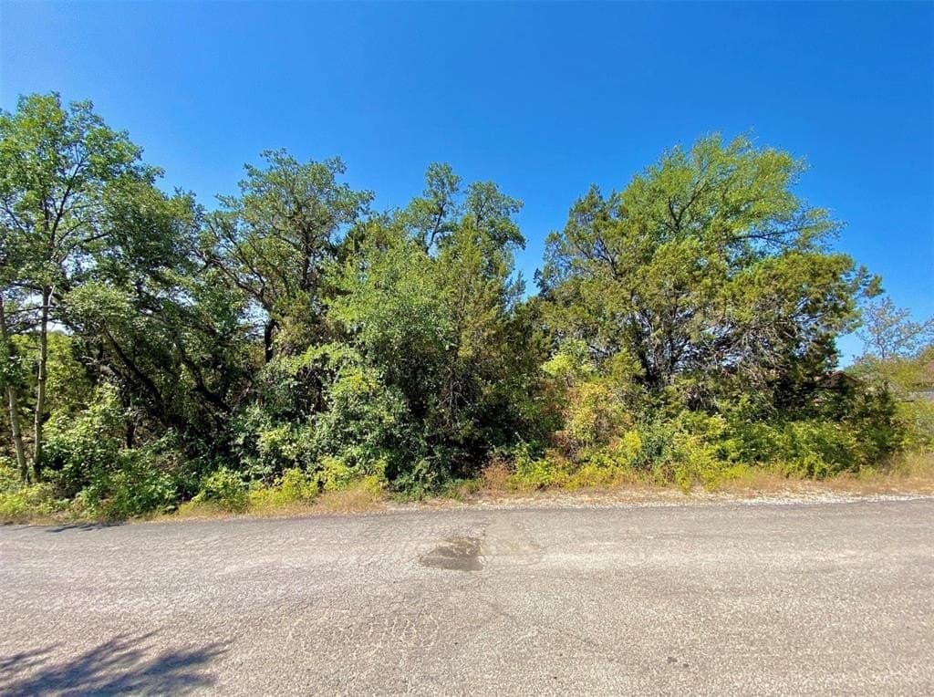 0.05 acres in Hood County - photo 5
