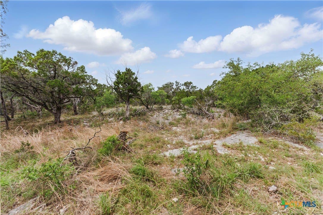 18.5 acres in Hays County - photo 33