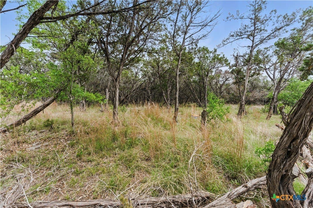 18.5 acres in Hays County - photo 25