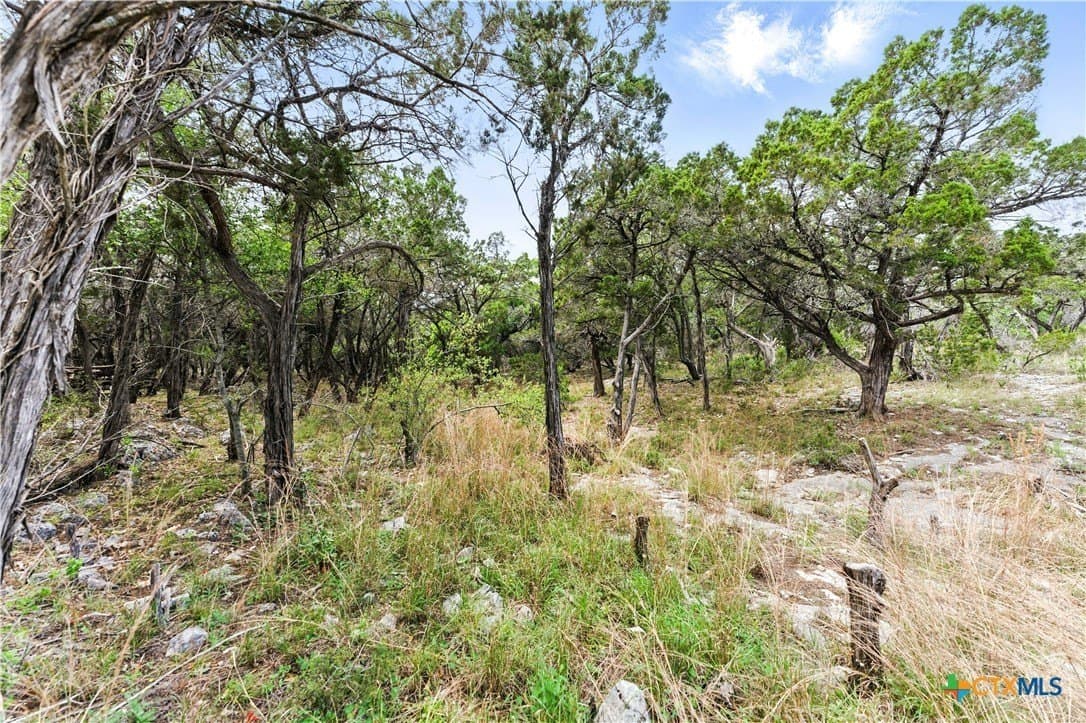 18.5 acres in Hays County - photo 32