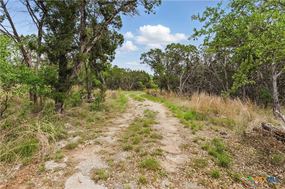 18.5 acres in Hays County - photo 26