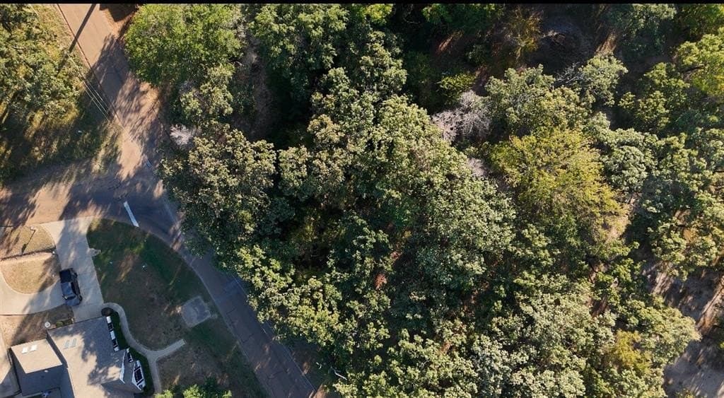 0.19 acres in Henderson County - photo 3