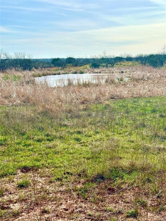 160 acres in Taylor County - photo 7