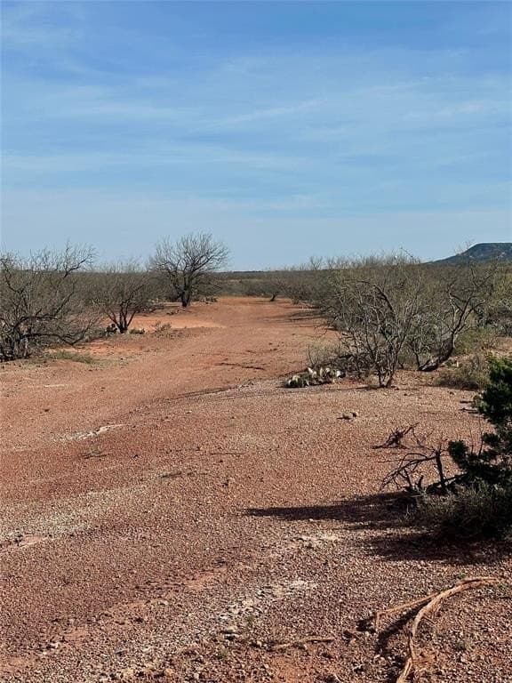 160 acres in Taylor County - photo 24