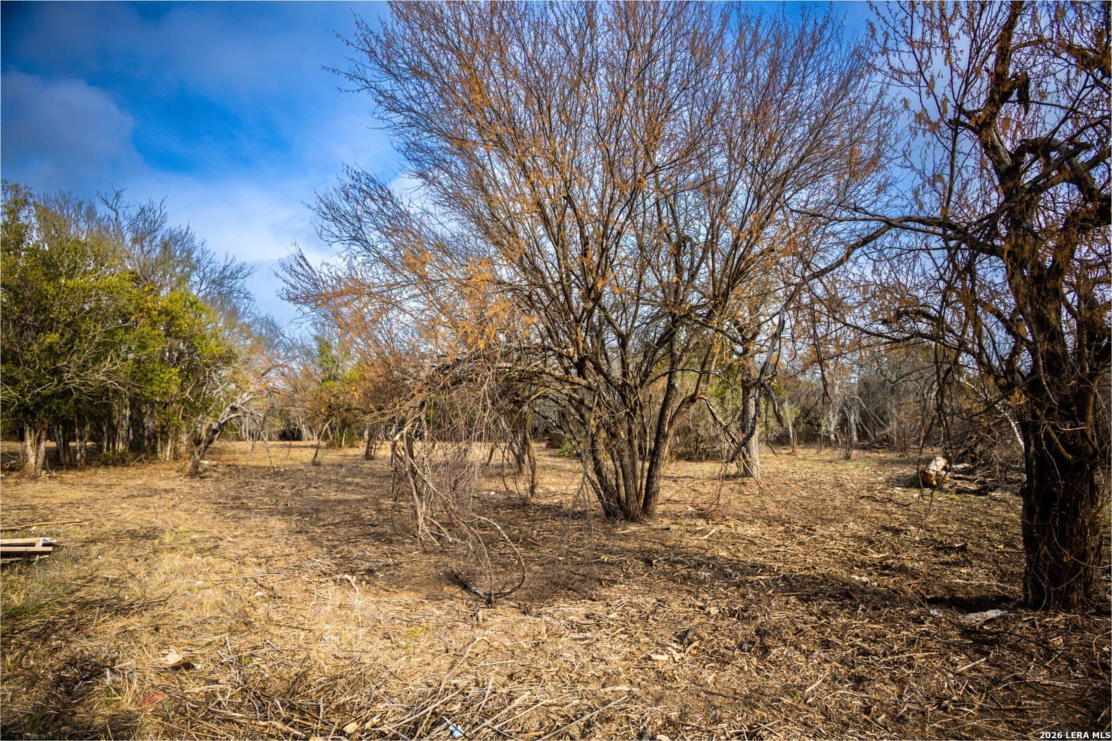 0.86 acres in Bexar County - photo 3