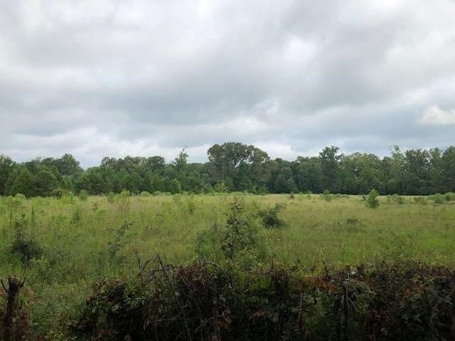 48.78 acres in Rusk County - photo 5