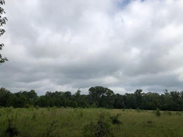 48.78 acres in Rusk County - photo 6