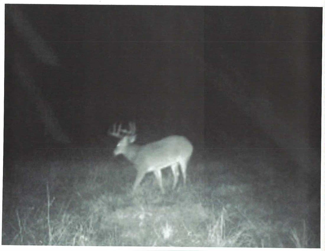 48.78 acres in Rusk County - photo 17