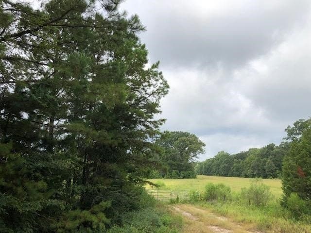 48.78 acres in Rusk County - photo 13