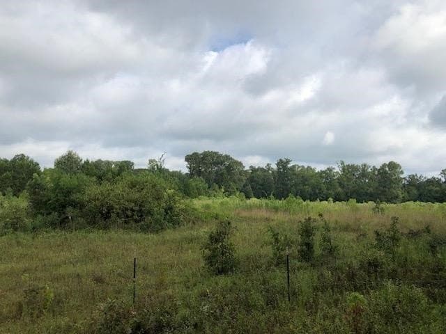 48.78 acres in Rusk County - photo 3