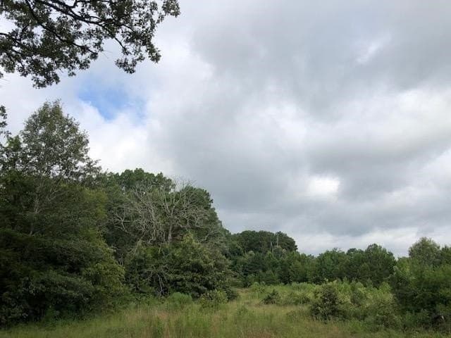 48.78 acres in Rusk County - photo 2