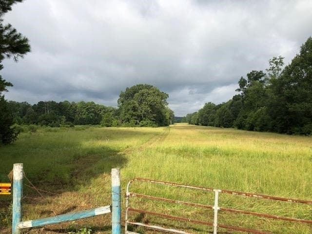 48.78 acres in Rusk County - photo 9