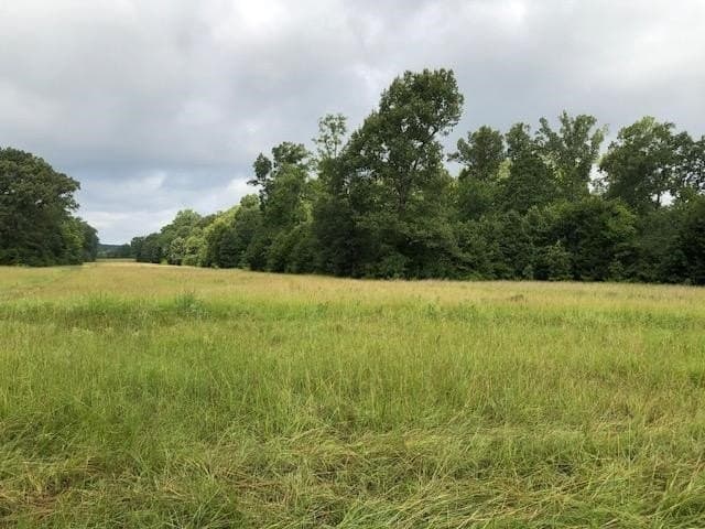 48.78 acres in Rusk County - photo 12