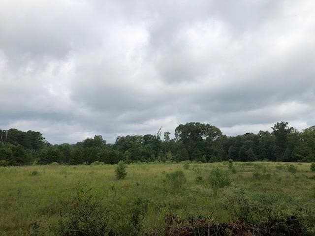 48.78 acres in Rusk County - photo 8