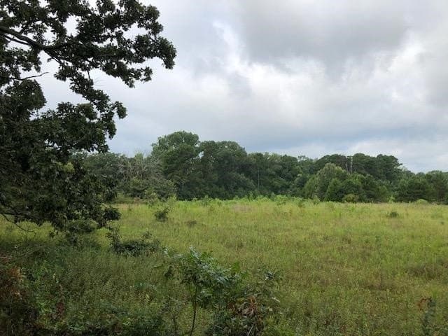 48.78 acres in Rusk County - photo 7
