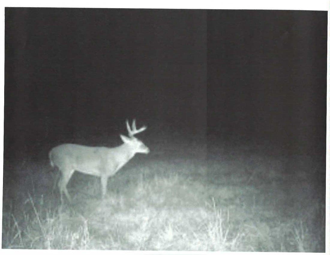 48.78 acres in Rusk County - photo 16