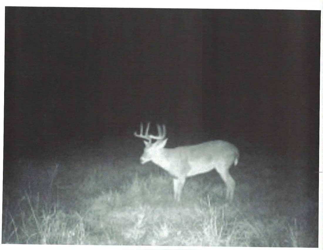 48.78 acres in Rusk County - photo 15