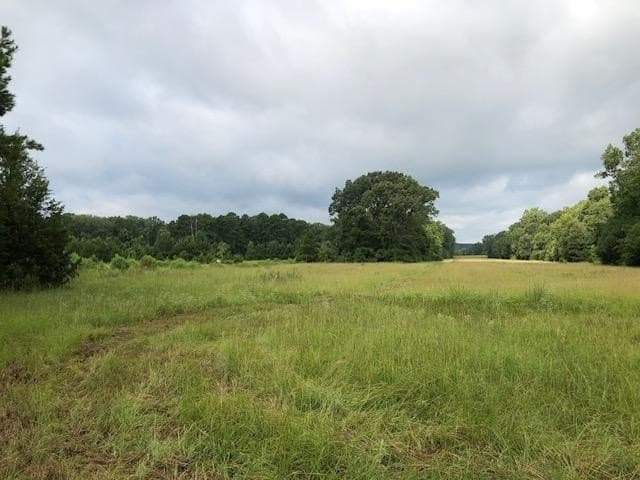 48.78 acres in Rusk County - photo 11