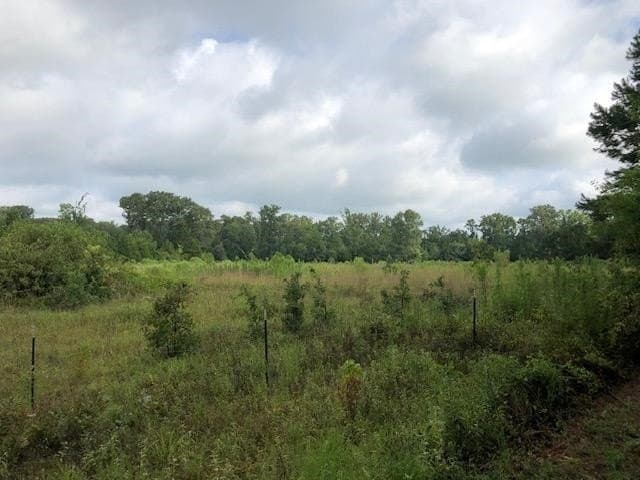 48.78 acres in Rusk County - photo 4