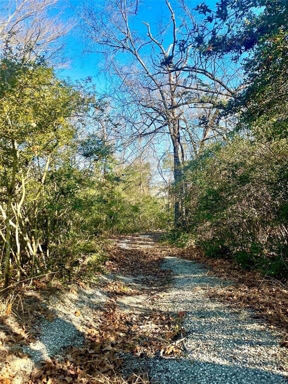 1 acres in Limestone County - photo 19