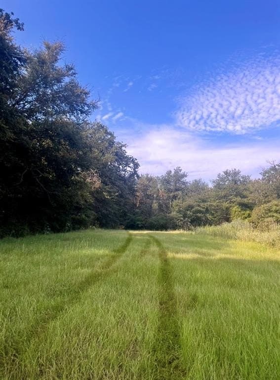 1 acres in Limestone County - photo 7