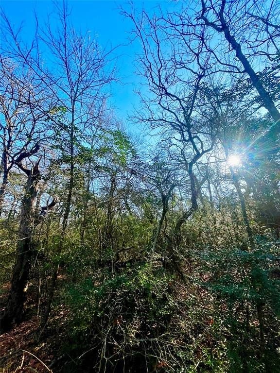 1 acres in Limestone County - photo 14