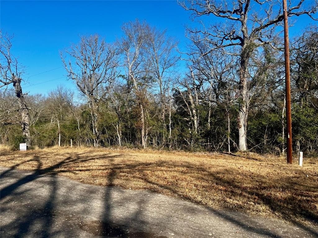 1 acres in Limestone County - photo 16
