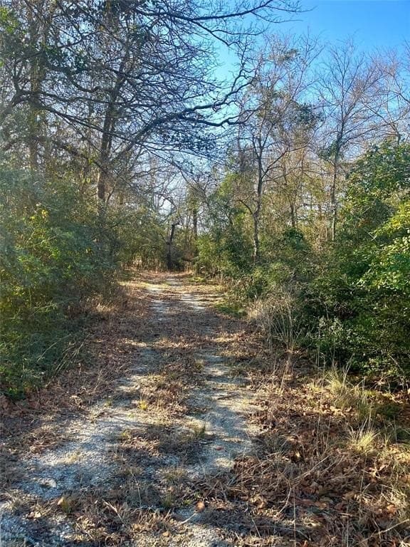 1 acres in Limestone County - photo 23