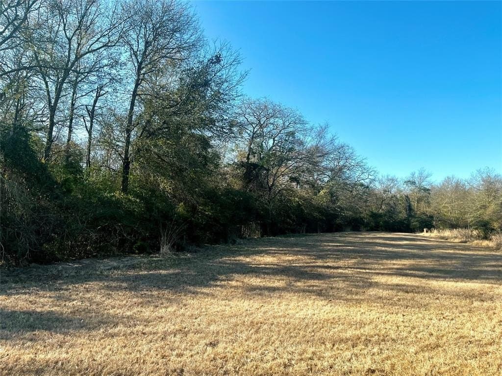1 acres in Limestone County - photo 21