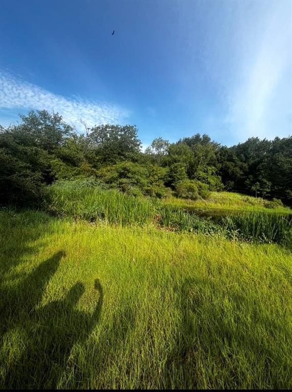 1 acres in Limestone County - photo 5