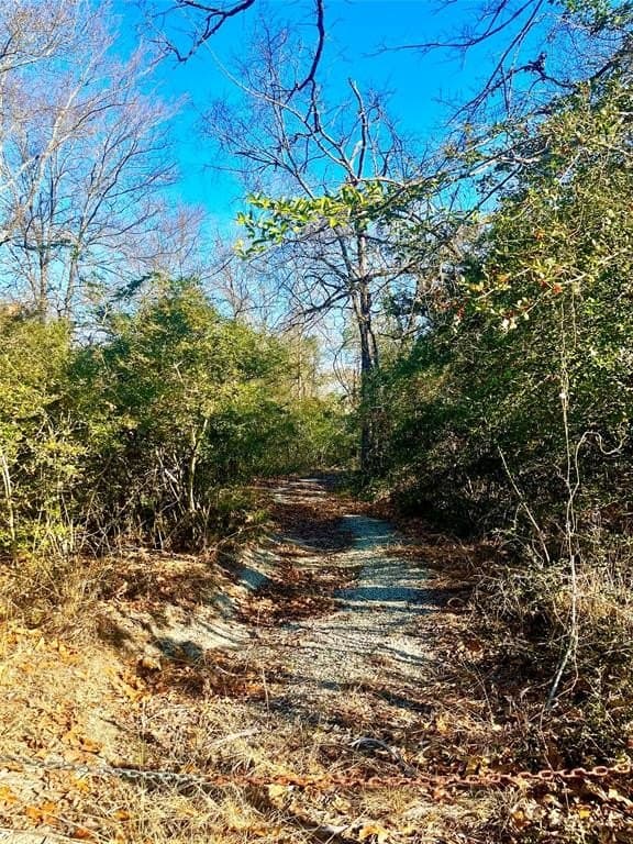 1 acres in Limestone County - photo 13