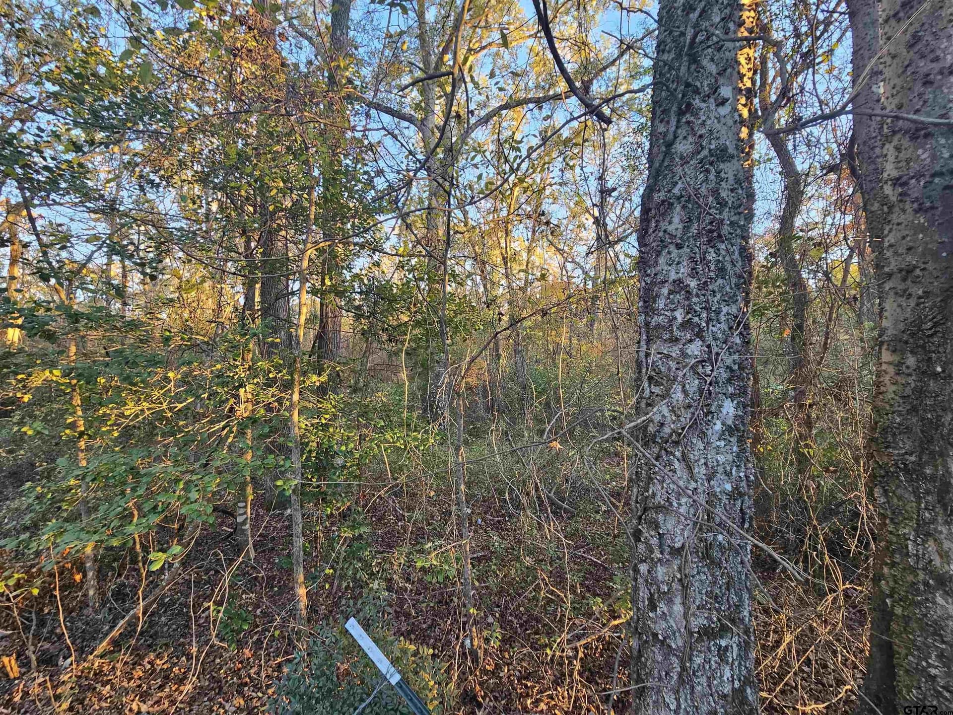 2.2 acres in Smith County - photo 3