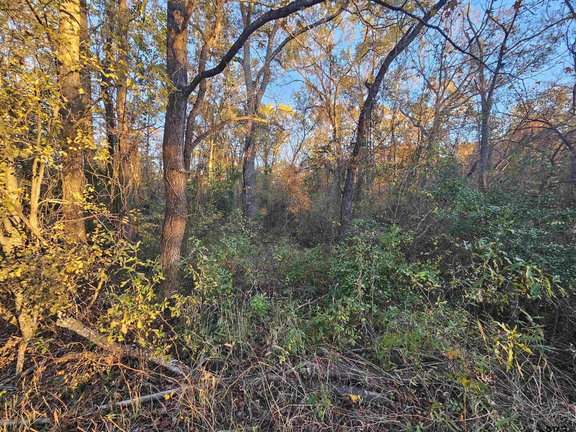 2.2 acres in Smith County - photo 2