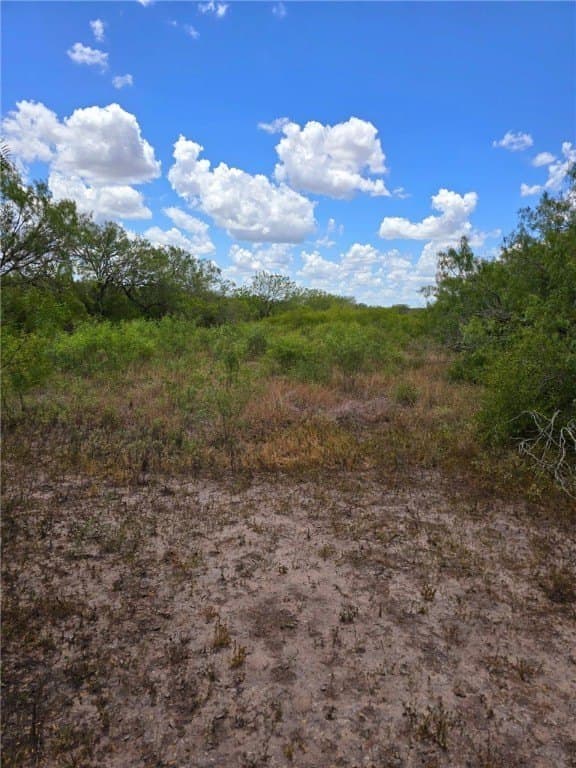 10.03 acres in Jim Wells County - photo 24