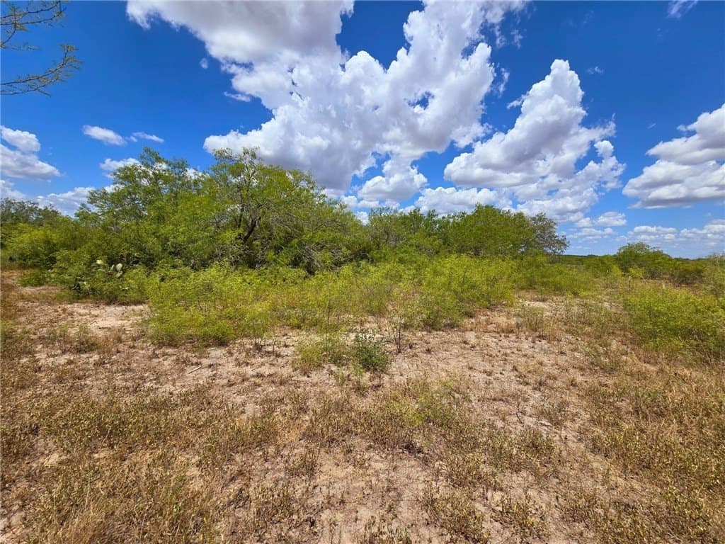 10.03 acres in Jim Wells County - photo 26