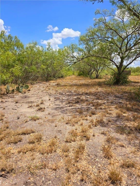 10.03 acres in Jim Wells County - photo 20