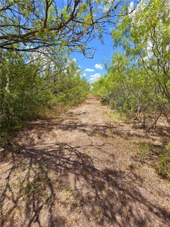10.03 acres in Jim Wells County - photo 21