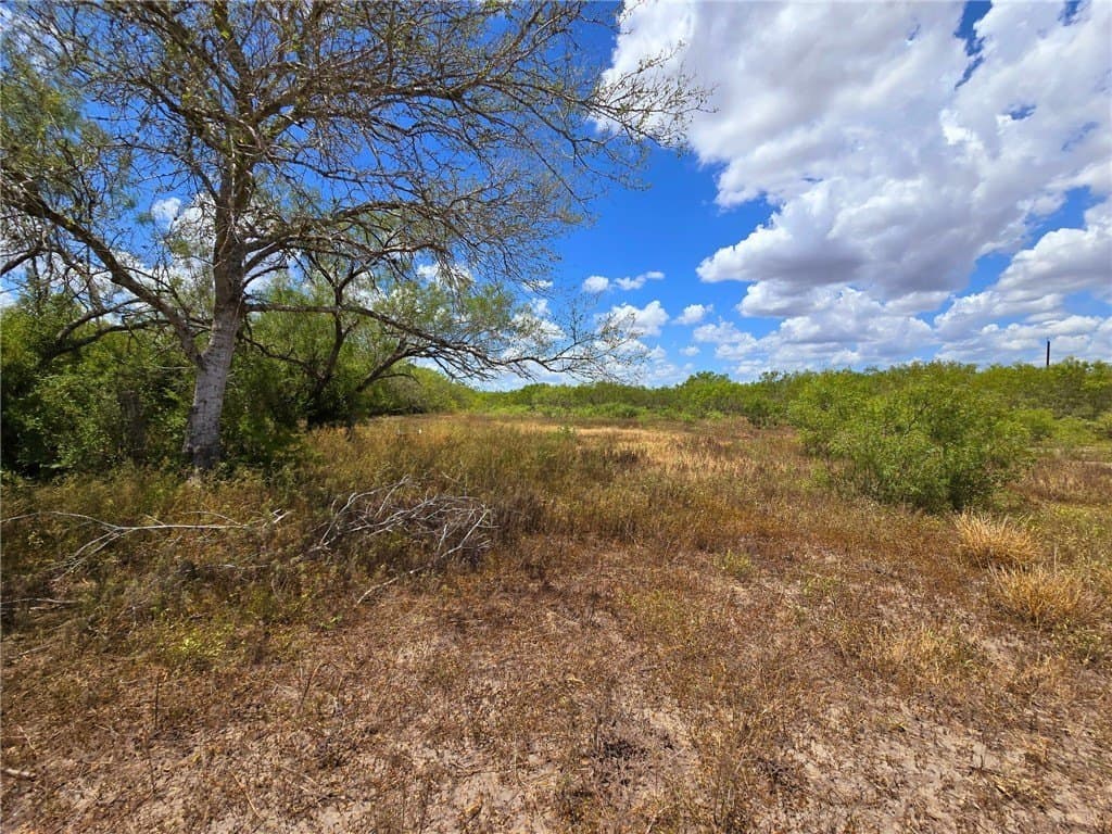 10.03 acres in Jim Wells County - photo 22