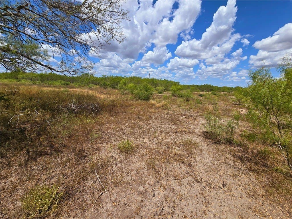 10.03 acres in Jim Wells County - photo 23