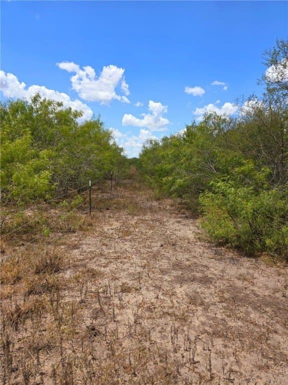 10.03 acres in Jim Wells County - photo 27