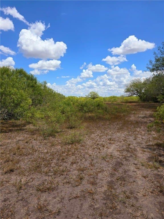 10.03 acres in Jim Wells County - photo 25