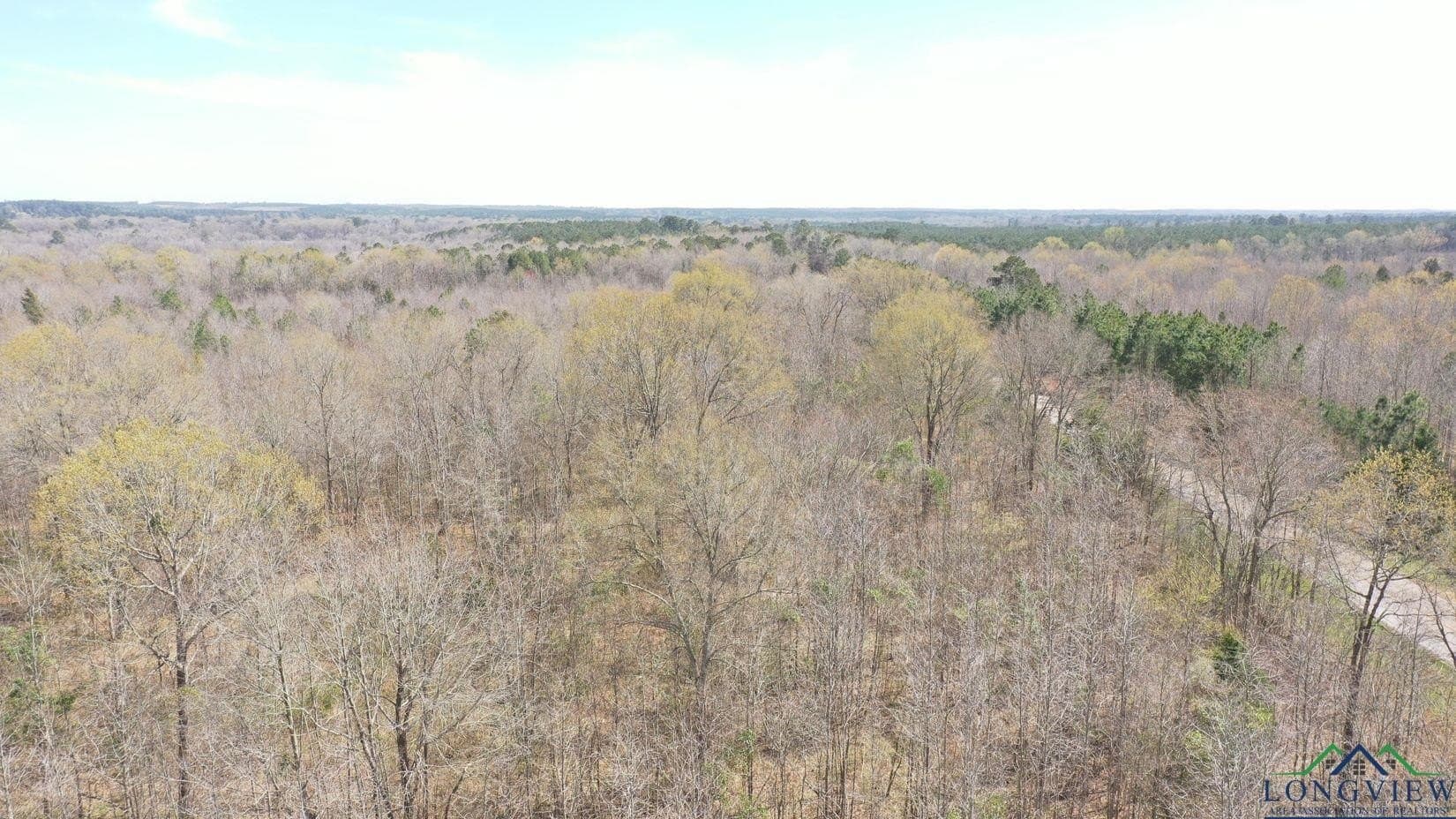 11 acres in Cass County - photo 8