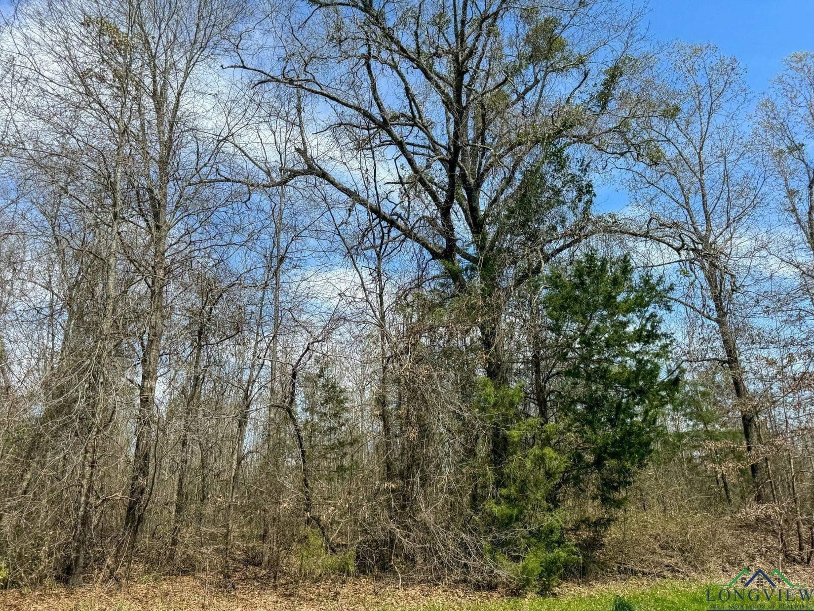 11 acres in Cass County - photo 2
