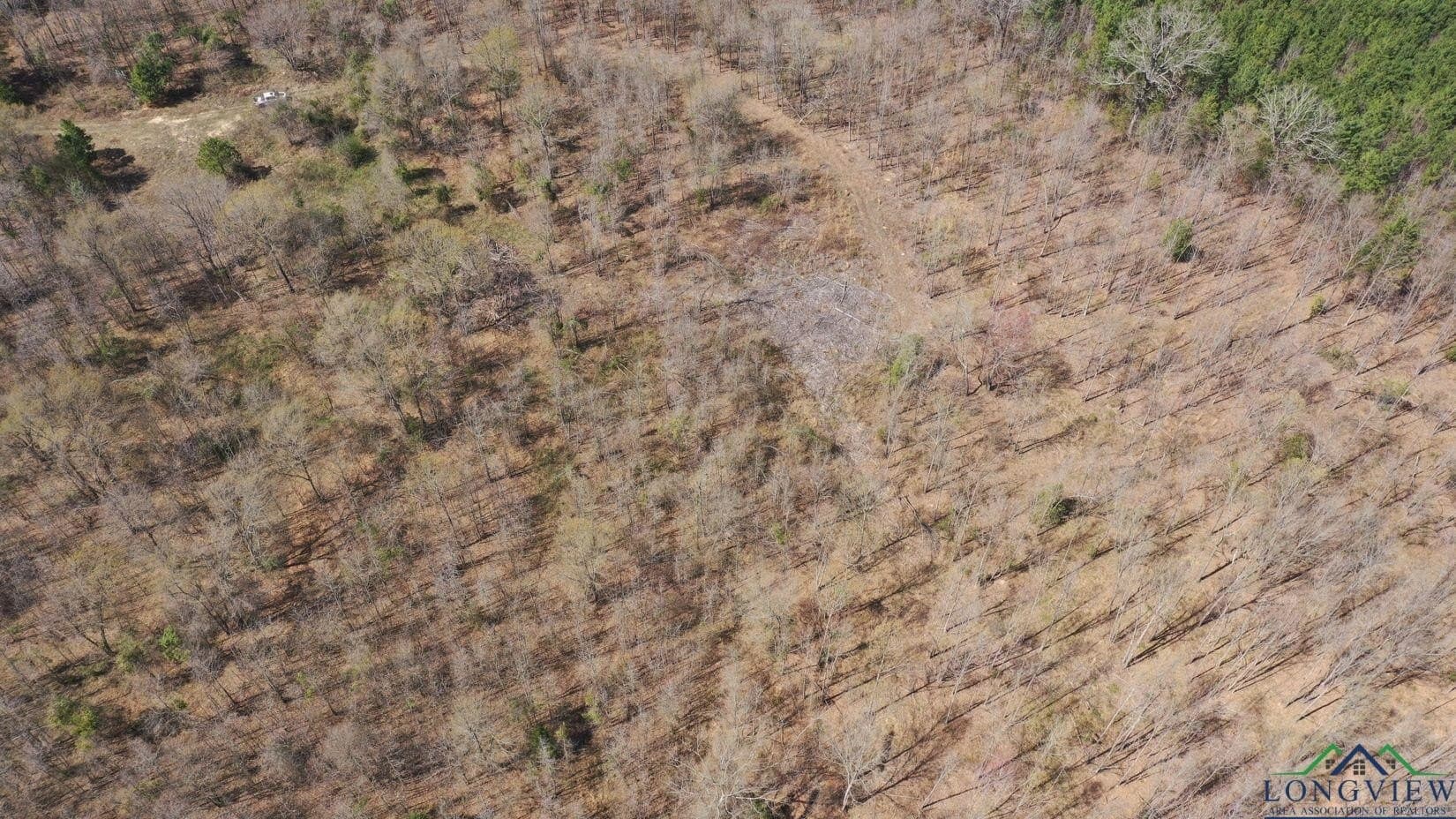 11 acres in Cass County - photo 10