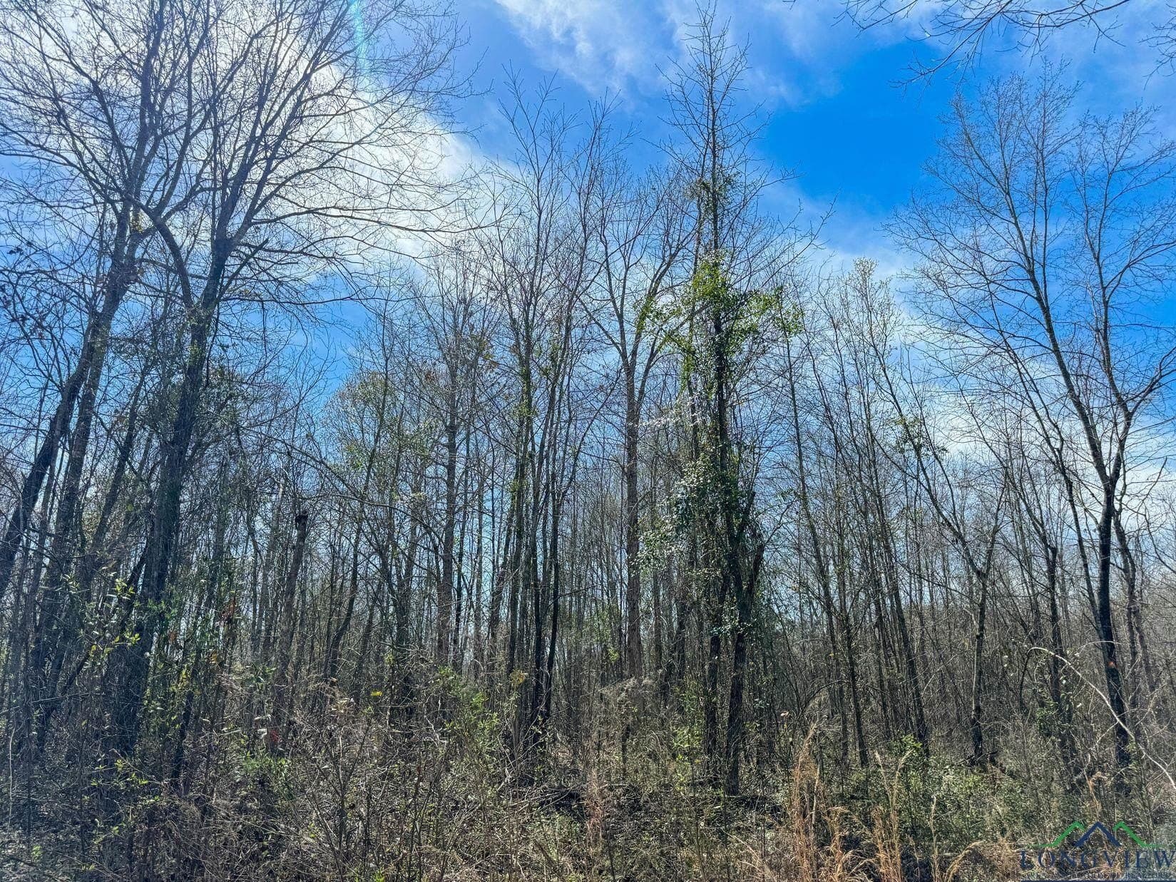 11 acres in Cass County - photo 5