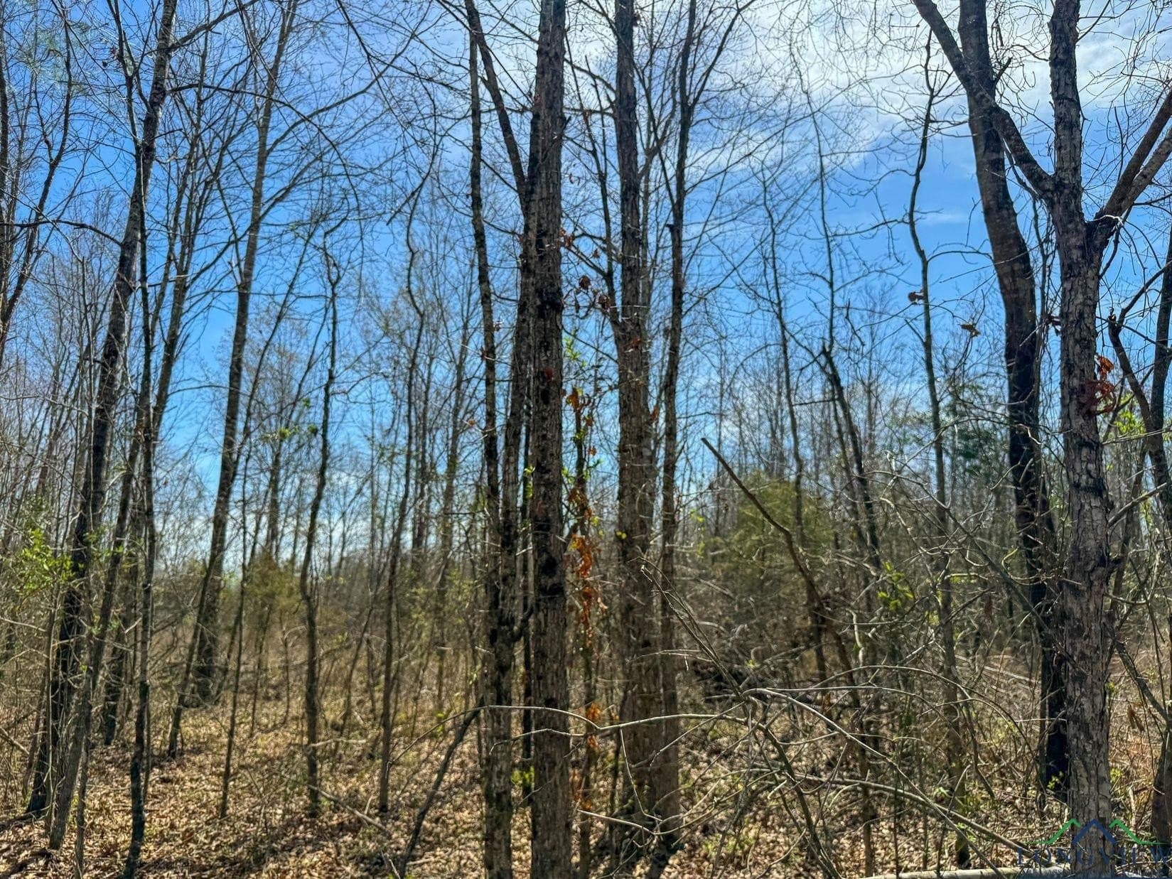 11 acres in Cass County - photo 3