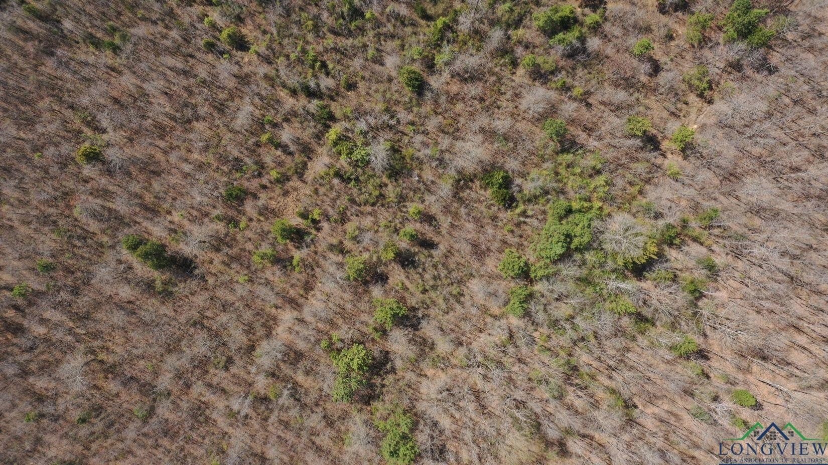 11 acres in Cass County - photo 11