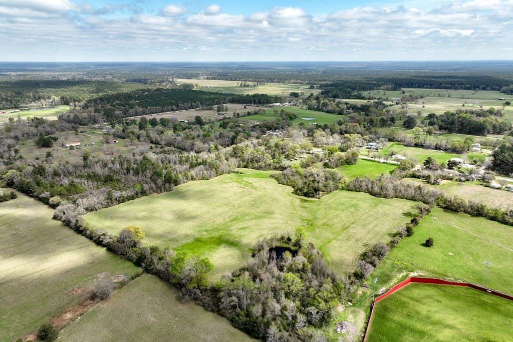 23.8 acres in HOUSTON County - photo 11